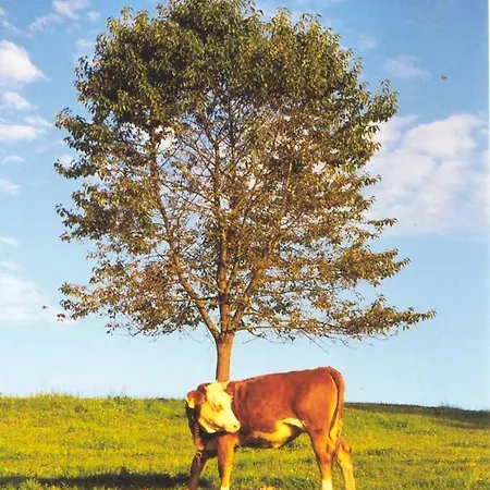 Kriechbaumer Séjour à la ferme *