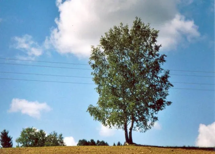 Kriechbaumer Farma Schönau im Mühlkreis