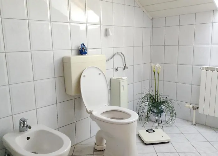 Farma Kriechbaumer Schönau im Mühlkreis