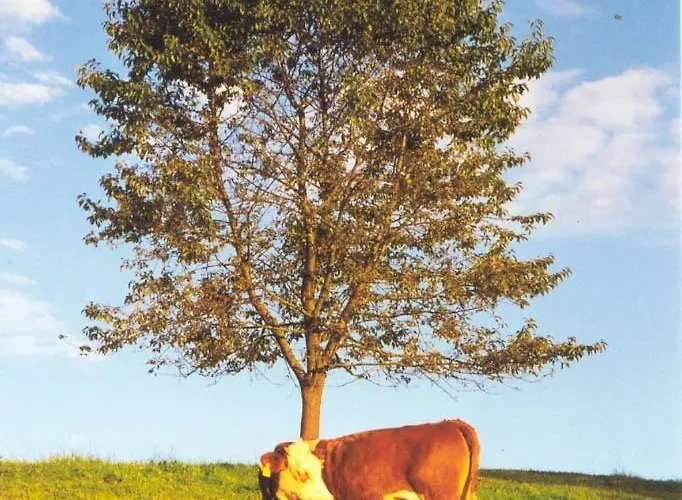 Kriechbaumer Farma *